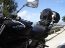 DSC00524.jpg