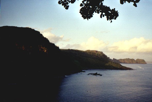 G9_Dauphins.jpg