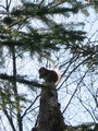 IMG_2929.JPG