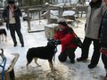 Img_2969.jpg