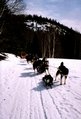 Img_2991.jpg