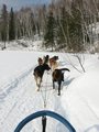 Img_2993.jpg