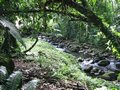 Img_3019.jpg