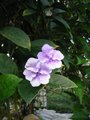 Img_3039.jpg