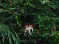 Img_3045.jpg