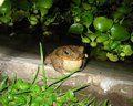 Img_3117.jpg
