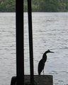 Img_3122.jpg