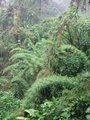 Img_3138.jpg