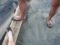 Img_3243.jpg