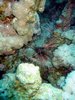 Img_5232.jpg