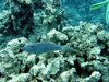 Img_5248.jpg