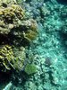 Img_5206.jpg