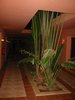 Img_5221.jpg