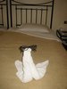 Img_5249.jpg