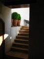 Img_3866red.jpg