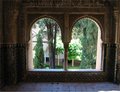 Img_3895red.jpg