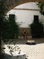 Img_3931red.jpg