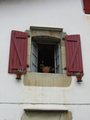 Img_4052red.jpg
