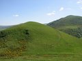 Img_4119red.jpg