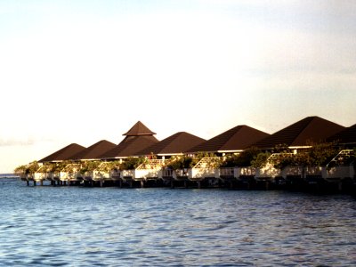 paradise-h.jpg, 24 kB
