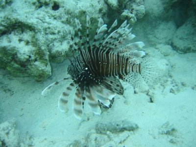 Img_0960.jpg, 30 kB