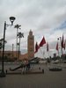 IMG_4503.jpg