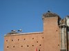 IMG_4647.jpg