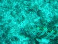 Img_1917.jpg