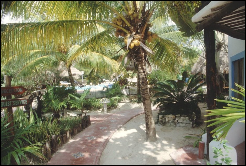 MEX Chemin Carmen.JPG
