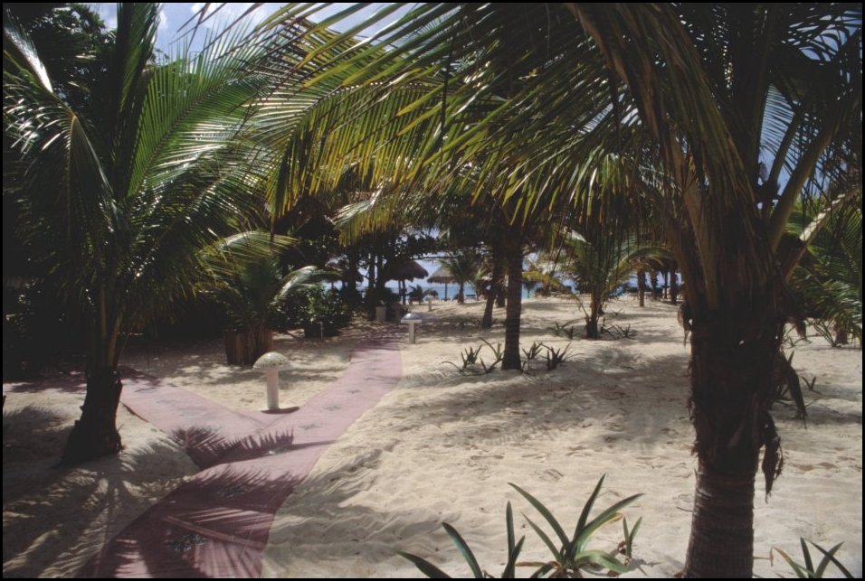 MEX Chemin2 Carmen.JPG