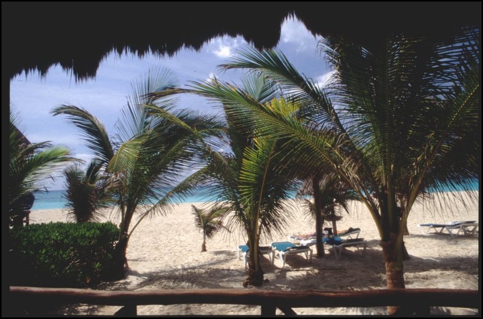 MEX Terrasse Carmen2.JPG
