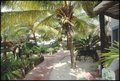 MEX Chemin Carmen.JPG