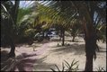 MEX Chemin2 Carmen.JPG