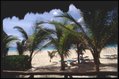 MEX Terrasse Carmen2.JPG