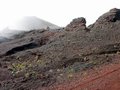 IMG_1804.JPG