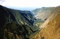 reunion b.jpg