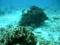 Img_1730.jpg