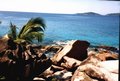 seychelles g.jpg