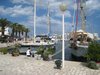 IMG_2737.jpg