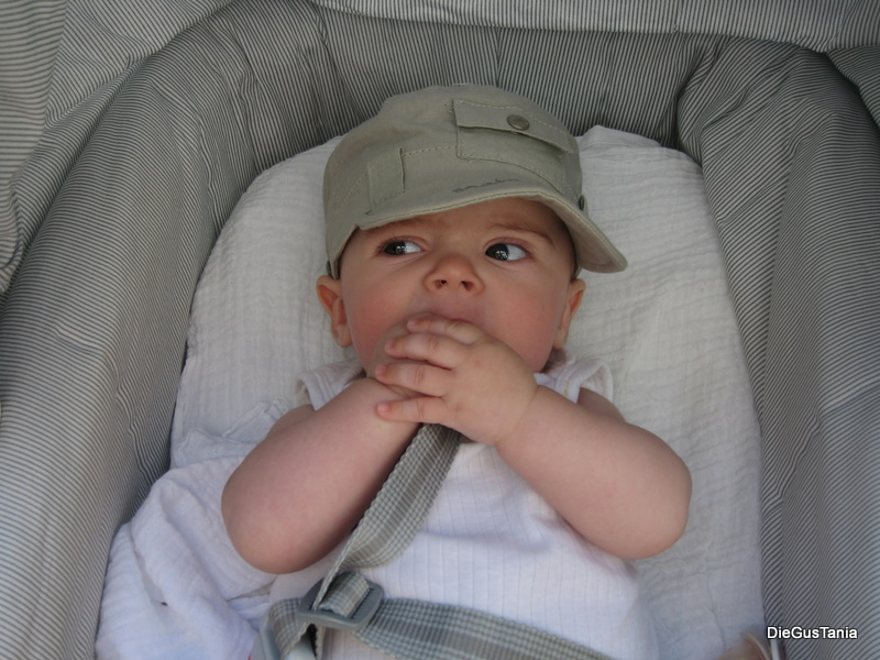 Diego_1567_23eme_semaine.jpg