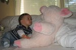 Diego_2155_33eme_semaine.jpg