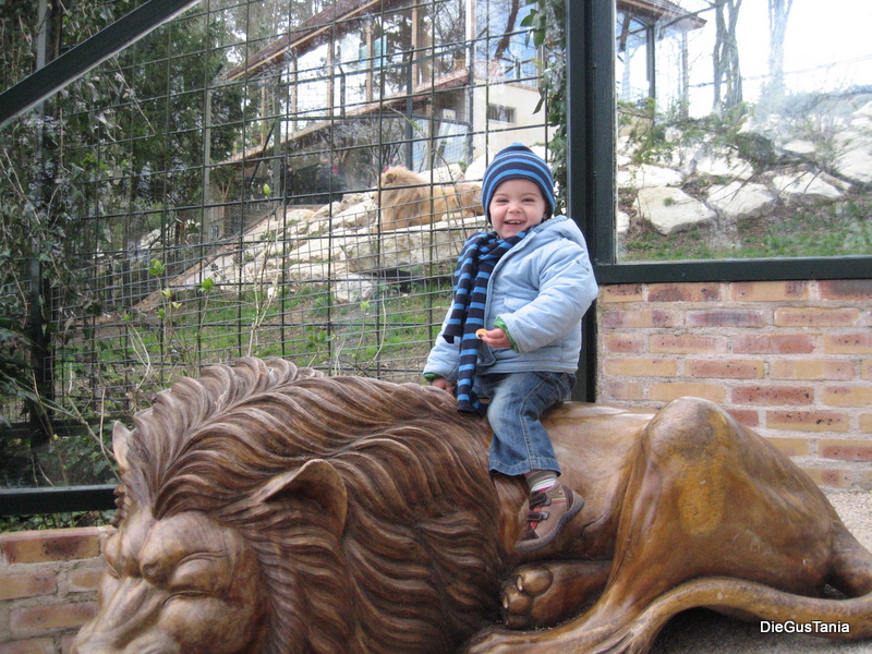 Diego_4908_26_mois.JPG