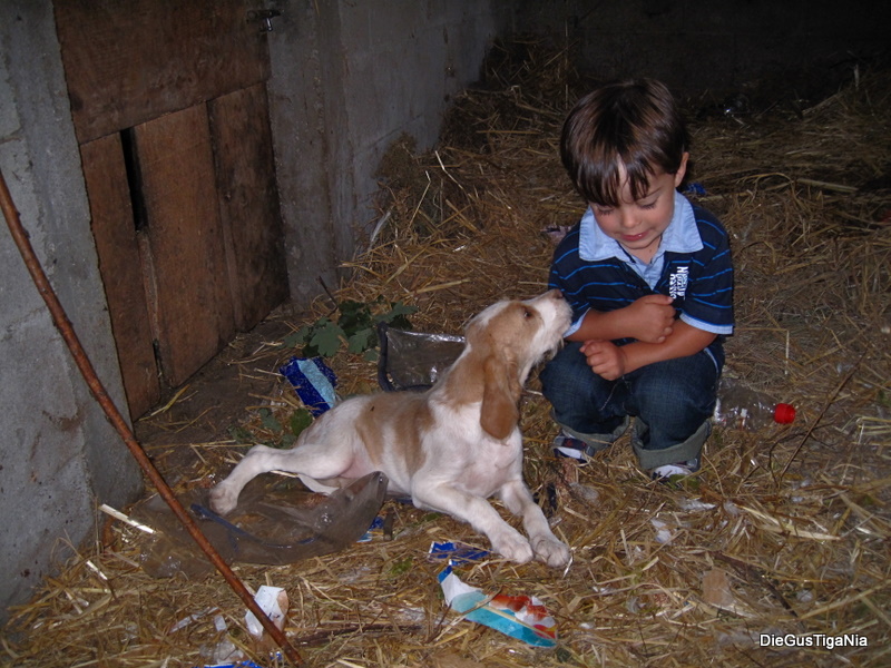 Diego6578_3-4_ans.JPG