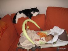 2011-02_061.JPG