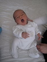 2011-03_0009.JPG