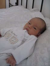 2011-03_0013.JPG
