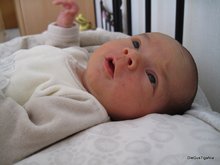 2011-03_0016.JPG
