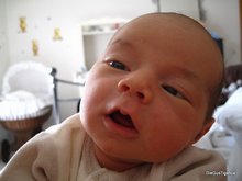2011-03_0017.JPG