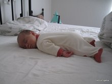 2011-03_0031.JPG