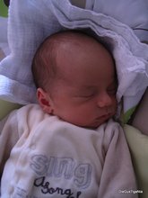 2011-03_0035.JPG